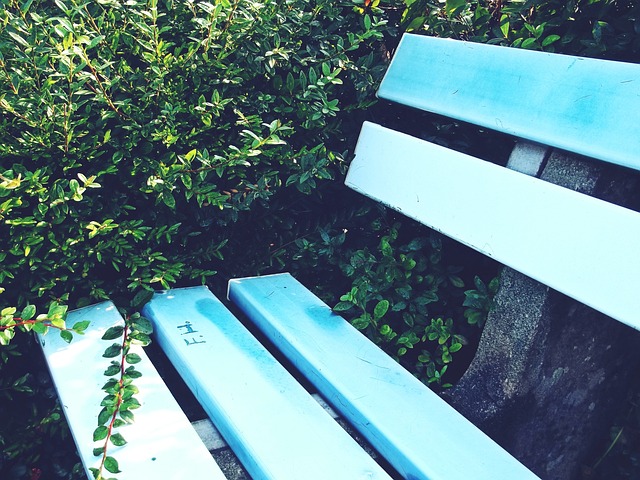 与球队管理 与球队管理