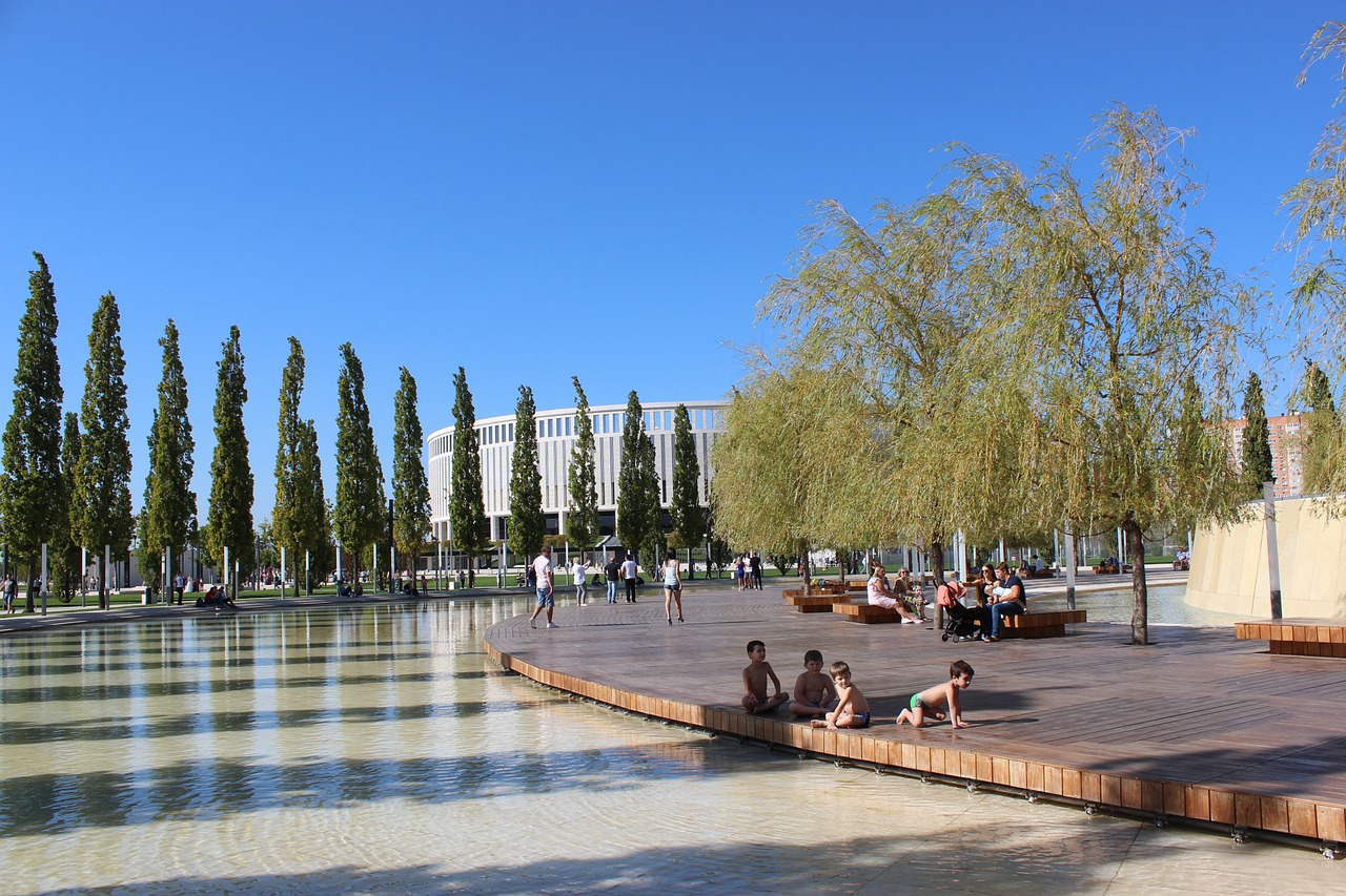 赛状态征服 赛状态征服