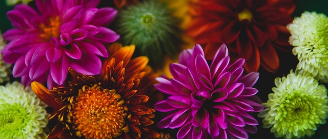 报道推向大 报道推向大