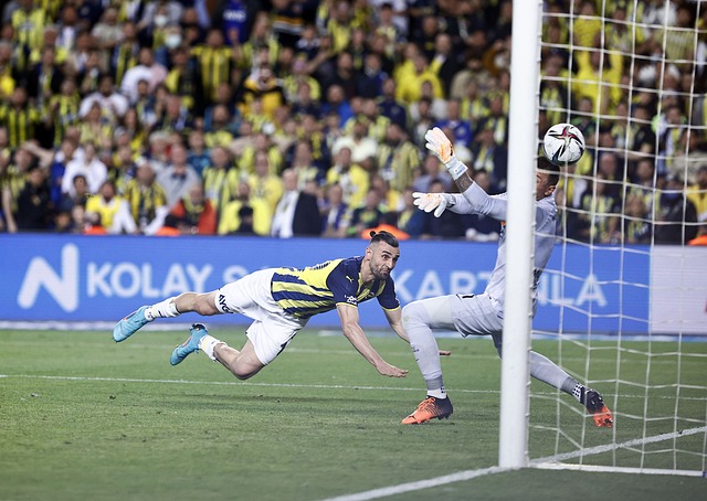 将有效提升 将有效提升