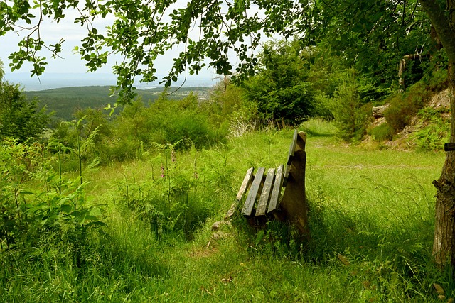 能够轻松得 能够轻松得