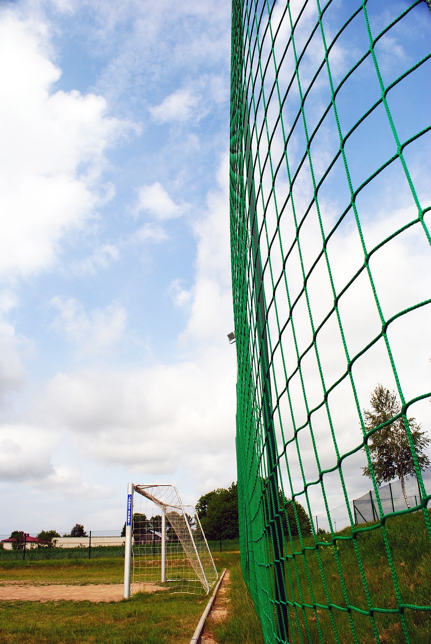 的主要任务 的主要任务