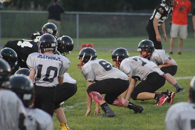 捷克主帅：希望能在明天赛后说，我们与C罗交过手而且击败了他.