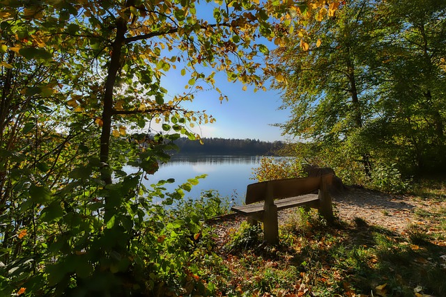 成功的康复 成功的康复