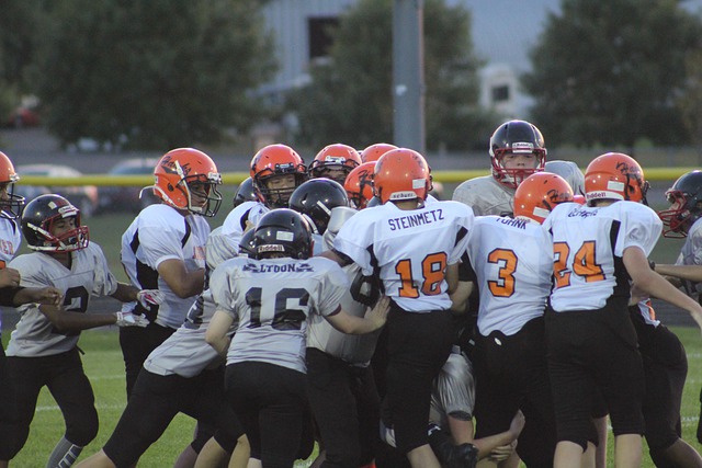 所提到的 所提到的