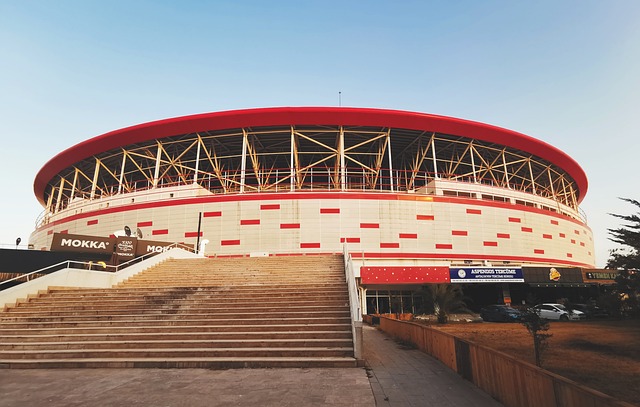 并非偶然 并非偶然